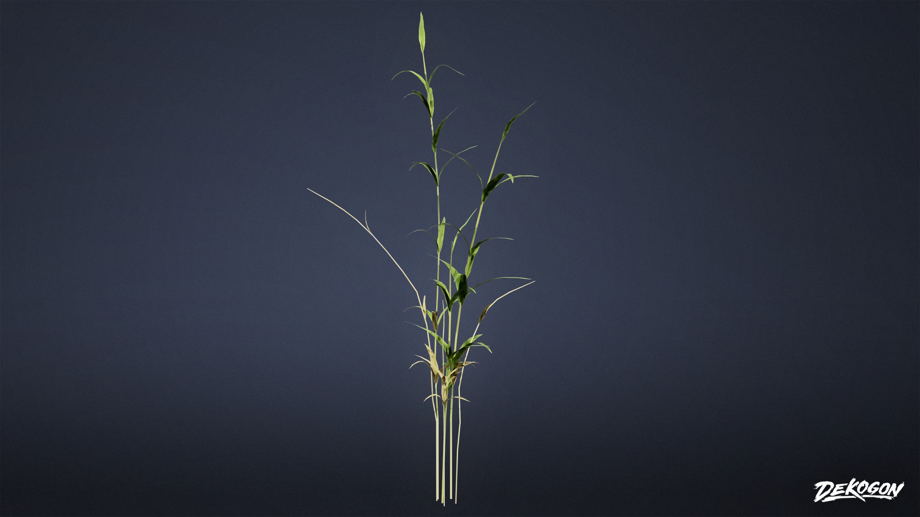 FOLIAGE - Water Stalks 01 - LOW POLY Low-poly 3D model_2