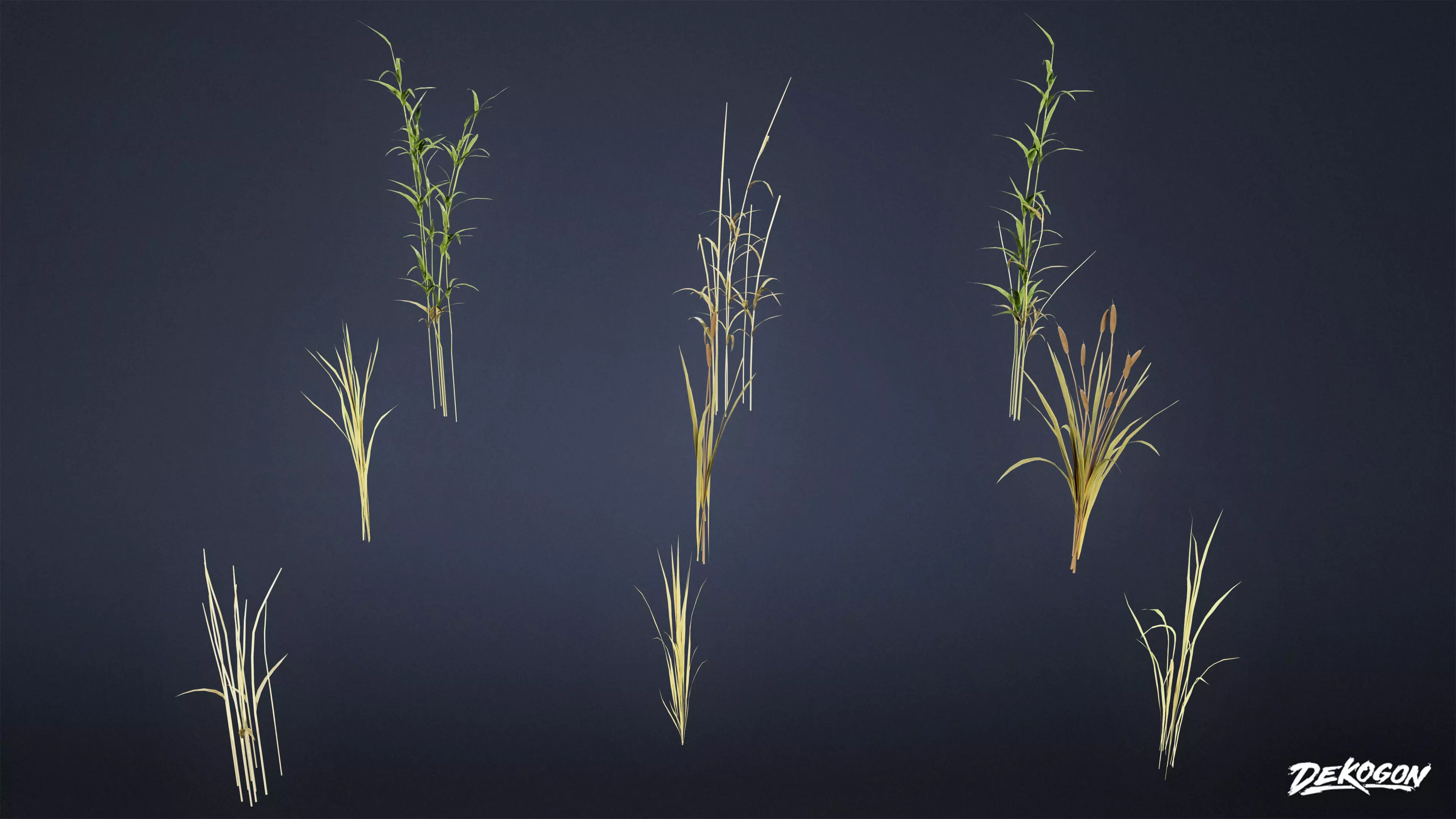 FOLIAGE - Water Stalks 01 - LOW POLY Low-poly 3D model_0