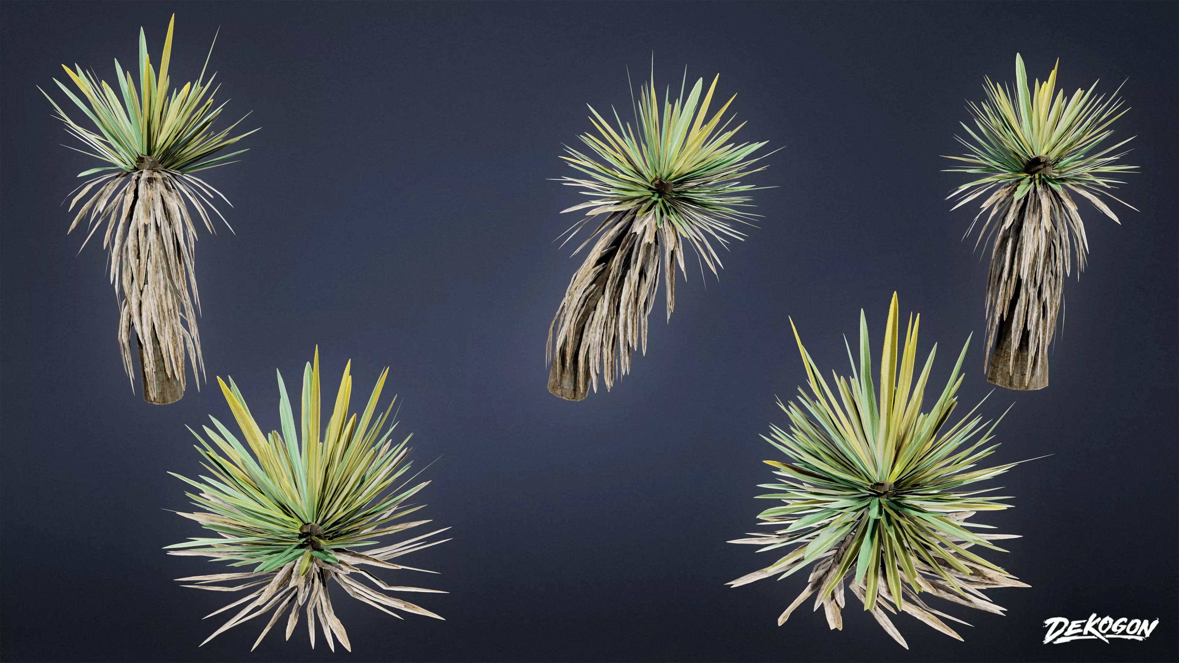 FOLIAGE - Yucca - LOW POLY Low-poly 3D model_0