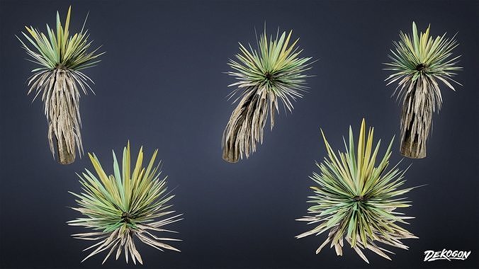 FOLIAGE - Yucca - LOW POLY Low-poly 3D model