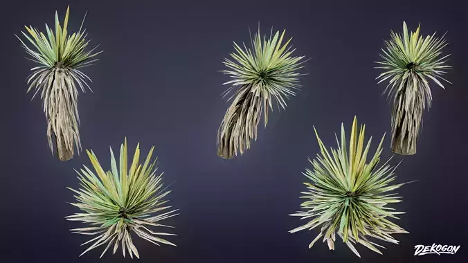 FOLIAGE - Yucca - LOW POLY