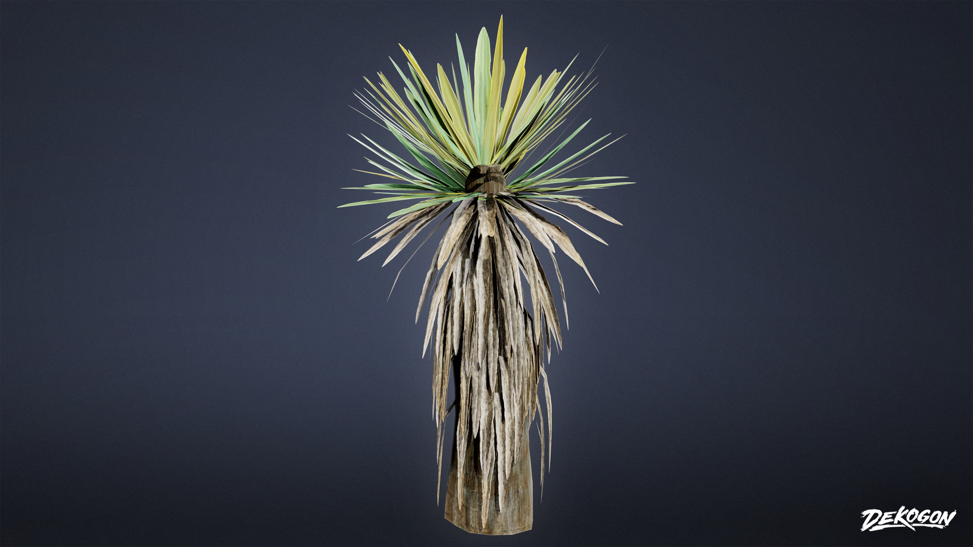 FOLIAGE - Yucca - LOW POLY Low-poly 3D model_2