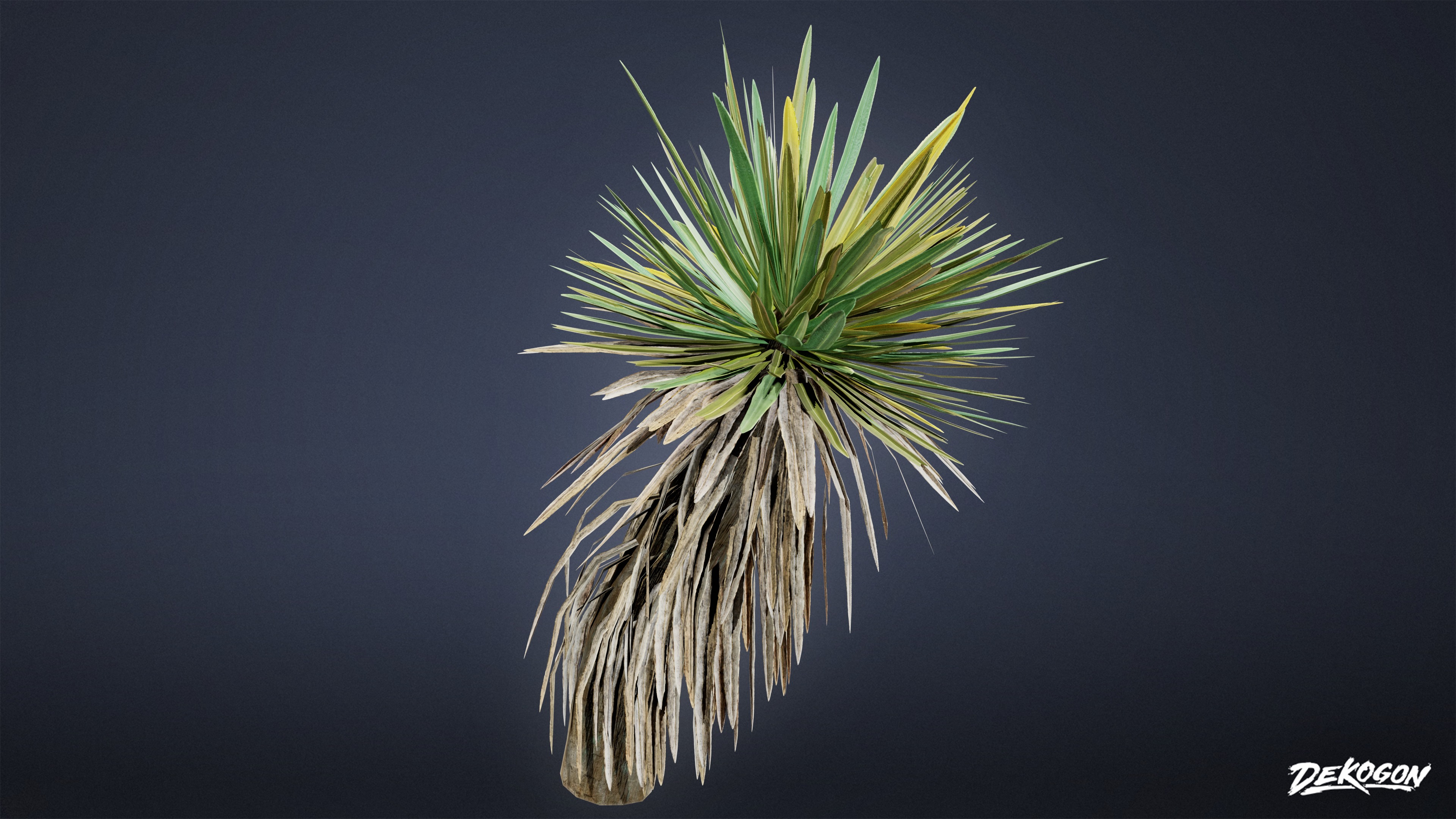 FOLIAGE - Yucca - LOW POLY Low-poly 3D model_3