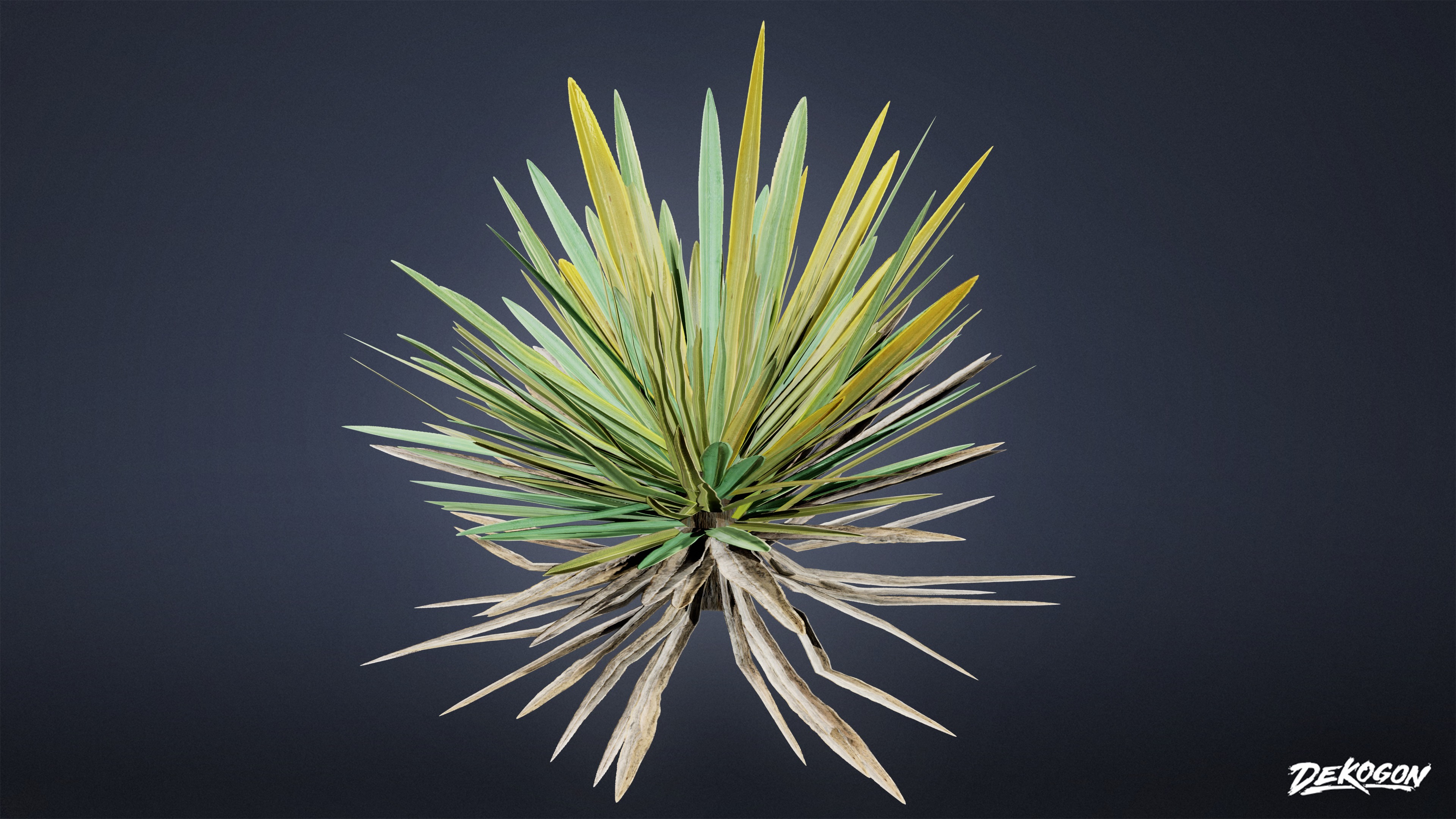 FOLIAGE - Yucca - LOW POLY Low-poly 3D model_6