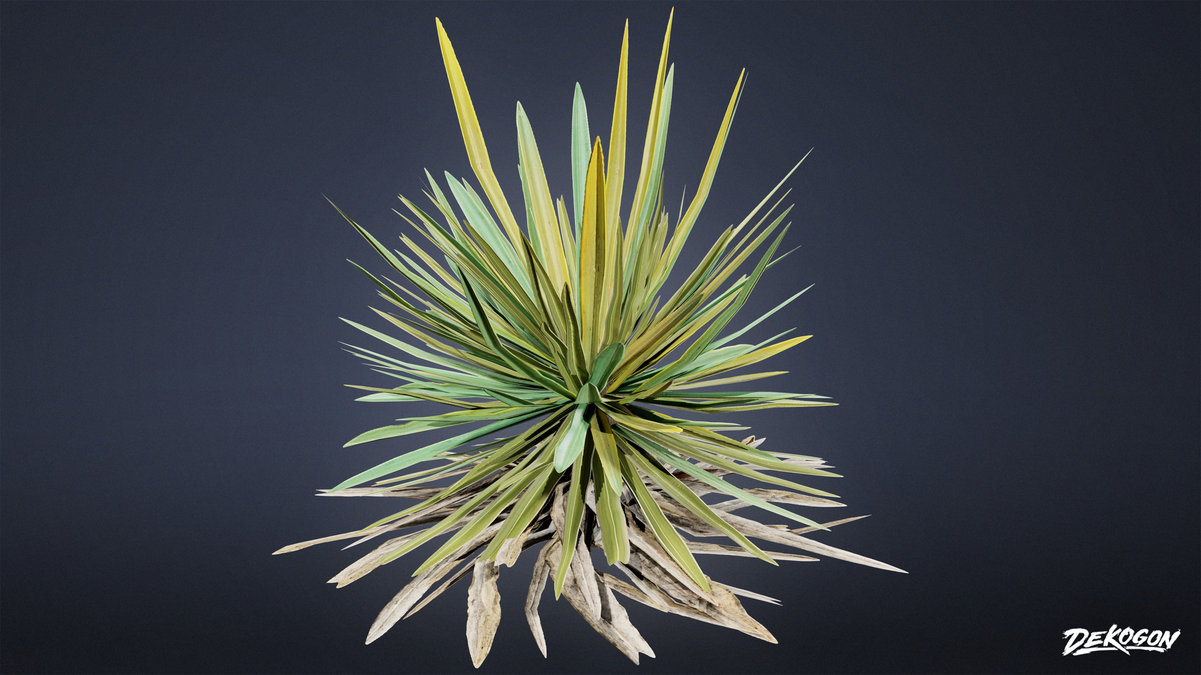 FOLIAGE - Yucca - LOW POLY Low-poly 3D model_5