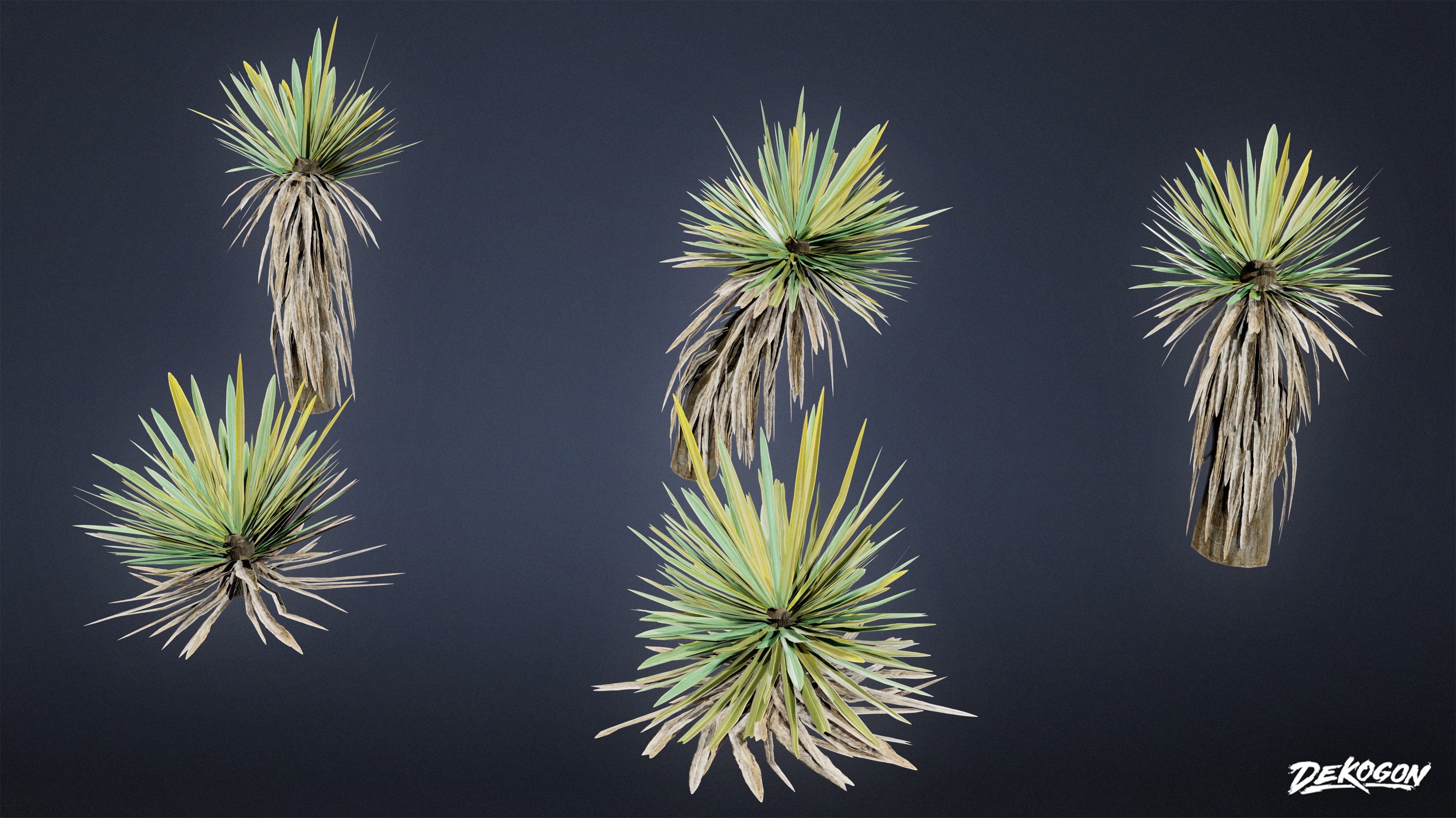 FOLIAGE - Yucca - LOW POLY Low-poly 3D model_1