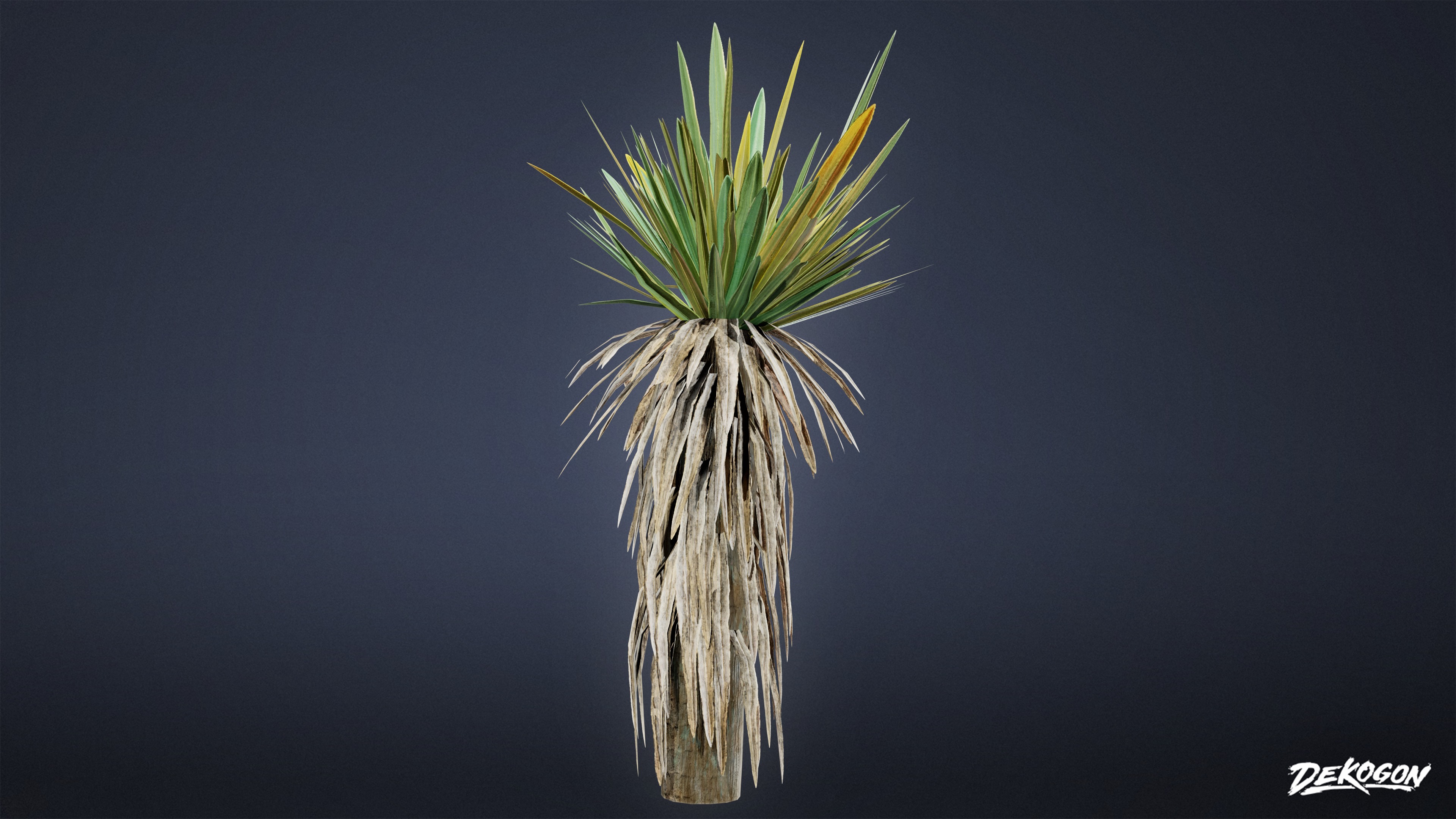 FOLIAGE - Yucca - LOW POLY Low-poly 3D model_4