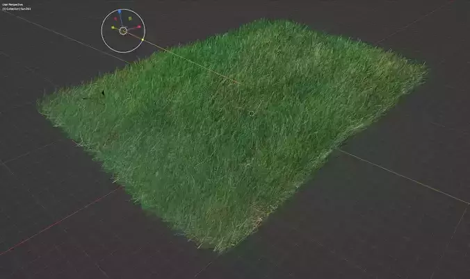 A Patch of Grass