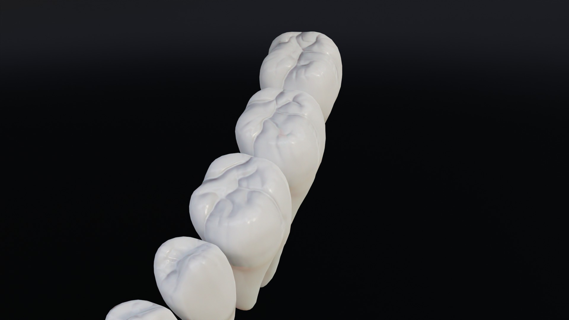 Clean Human Teeth Realistic and Detailed Low-poly 3D model_13