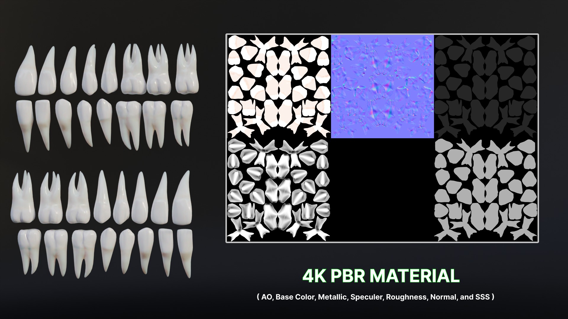 Clean Human Teeth Realistic and Detailed Low-poly 3D model_16