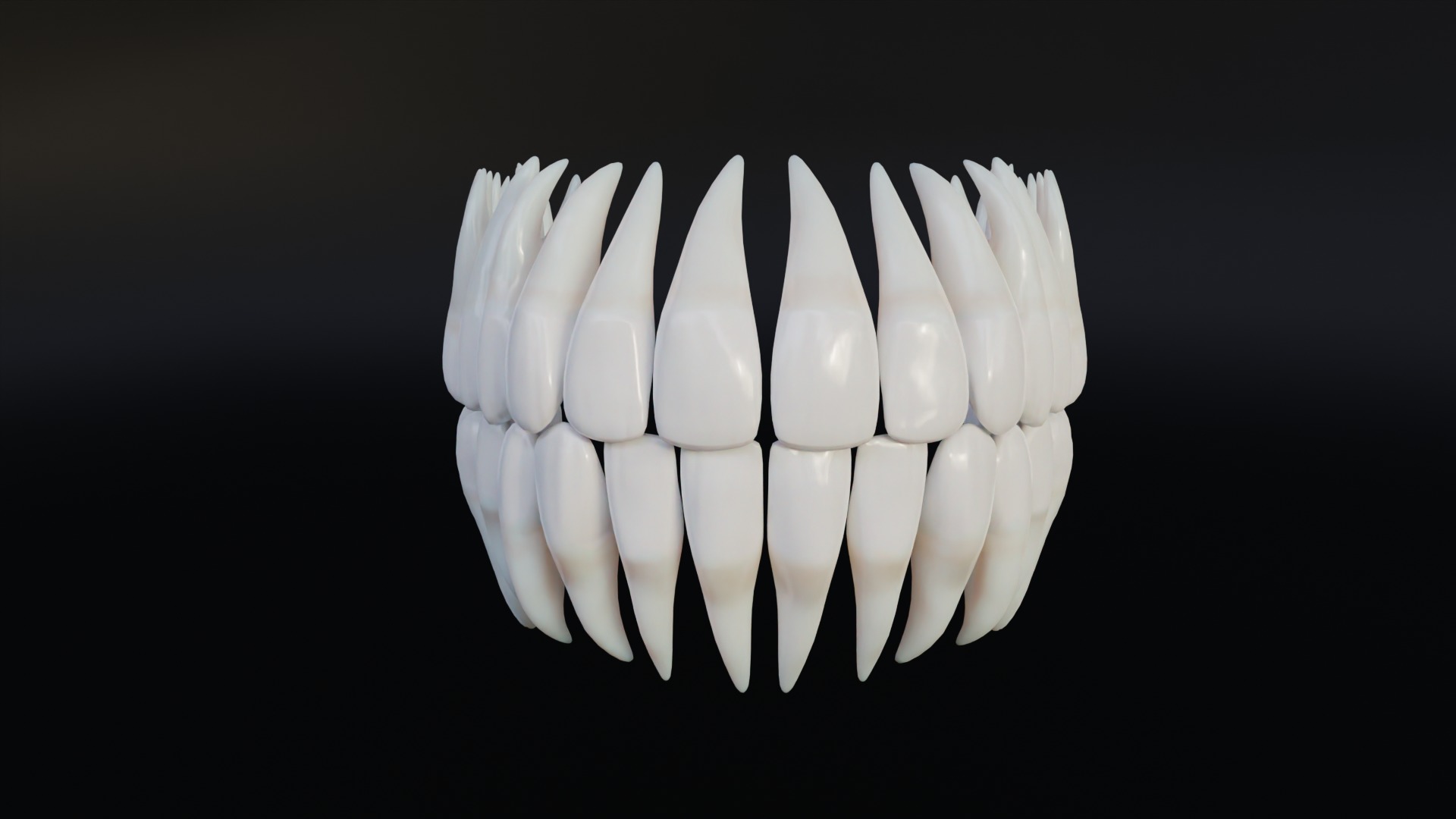 Clean Human Teeth Realistic and Detailed Low-poly 3D model_6