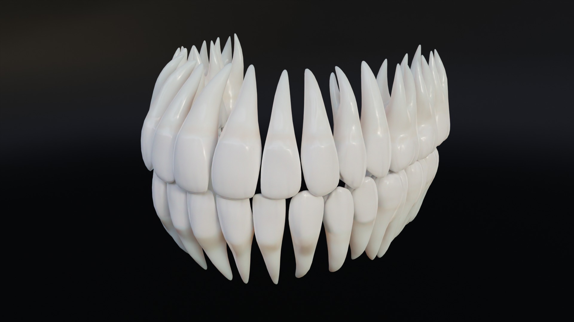 Clean Human Teeth Realistic and Detailed Low-poly 3D model_5