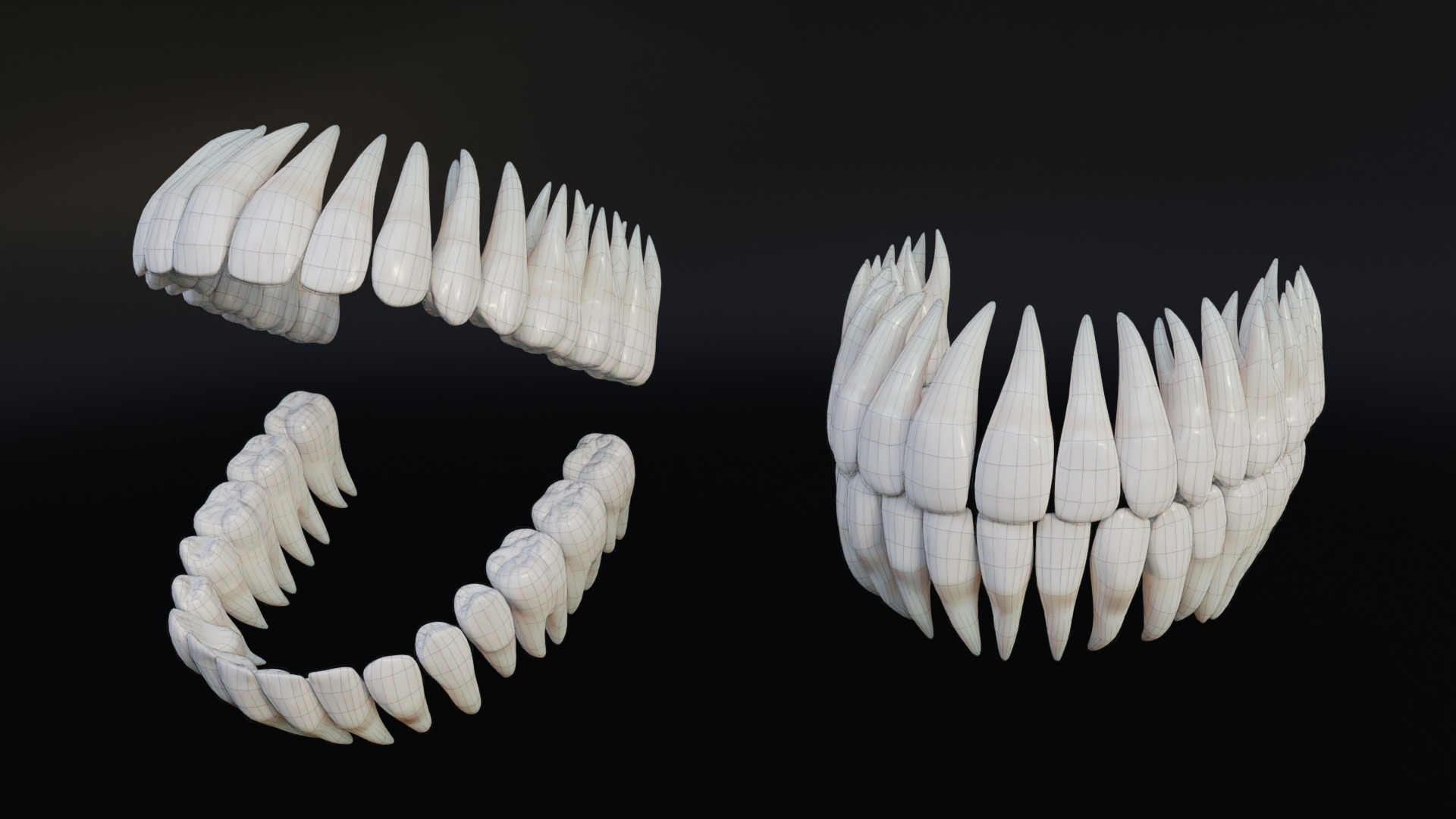 Clean Human Teeth Realistic and Detailed Low-poly 3D model_9