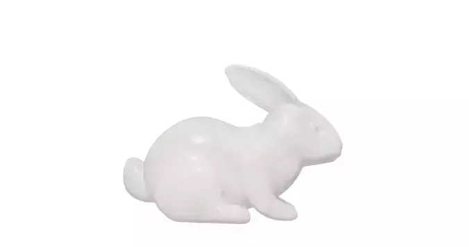 Rabbit for 3D Printing