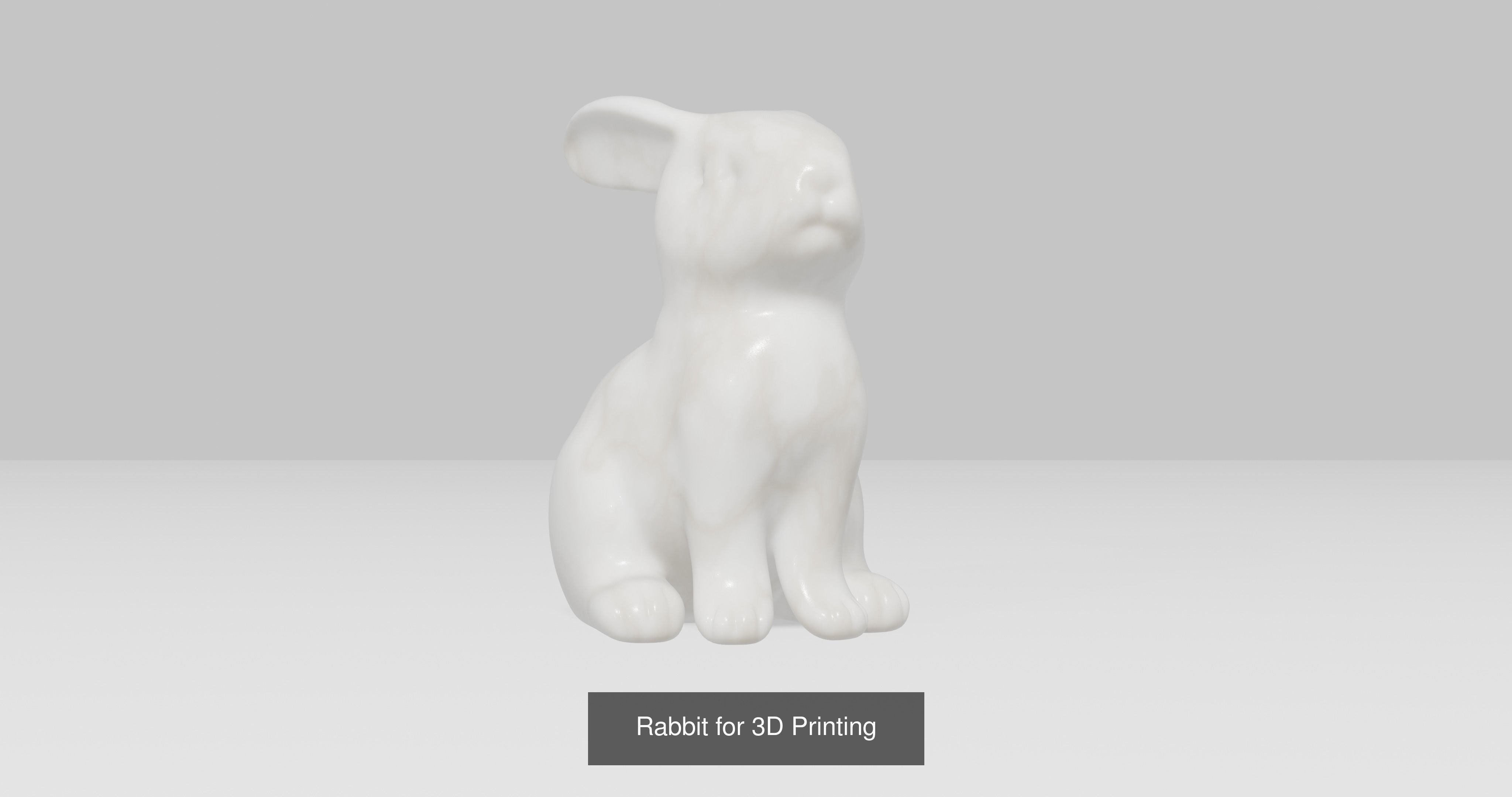 5 Rabbit for 3D Printing 3D Model Collection_5