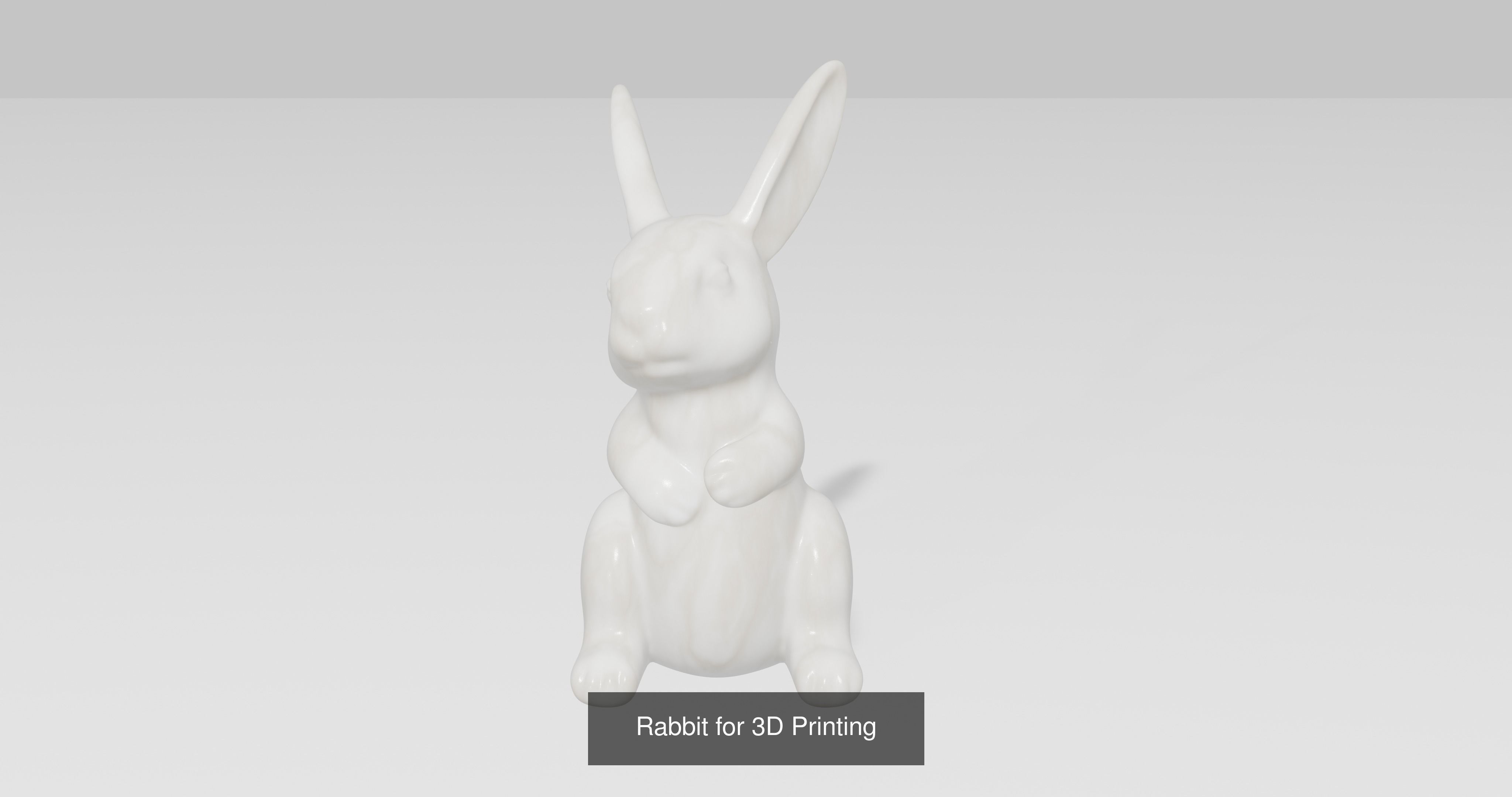 5 Rabbit for 3D Printing 3D Model Collection_8