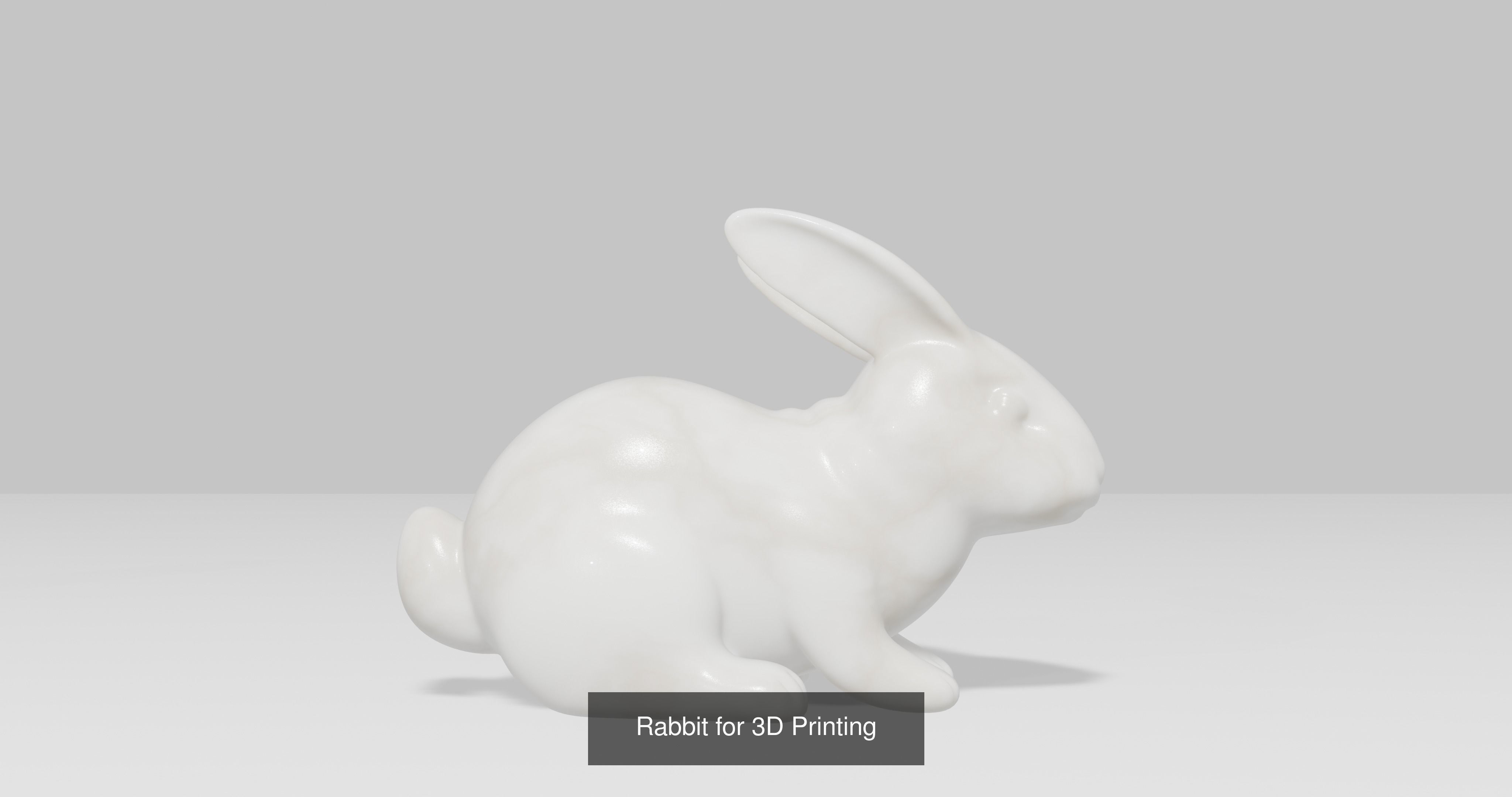 5 Rabbit for 3D Printing 3D Model Collection_7