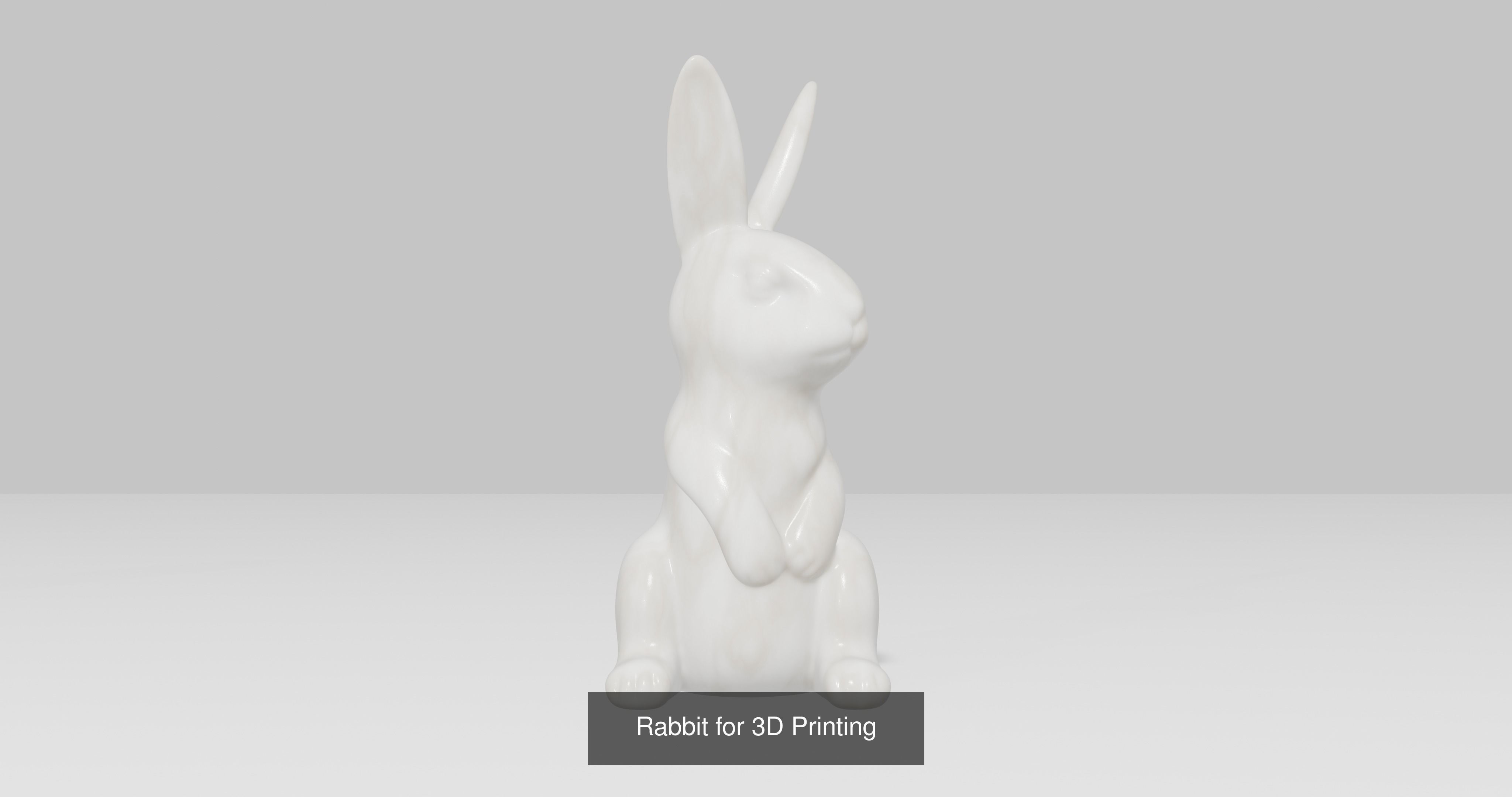 5 Rabbit for 3D Printing 3D Model Collection_4