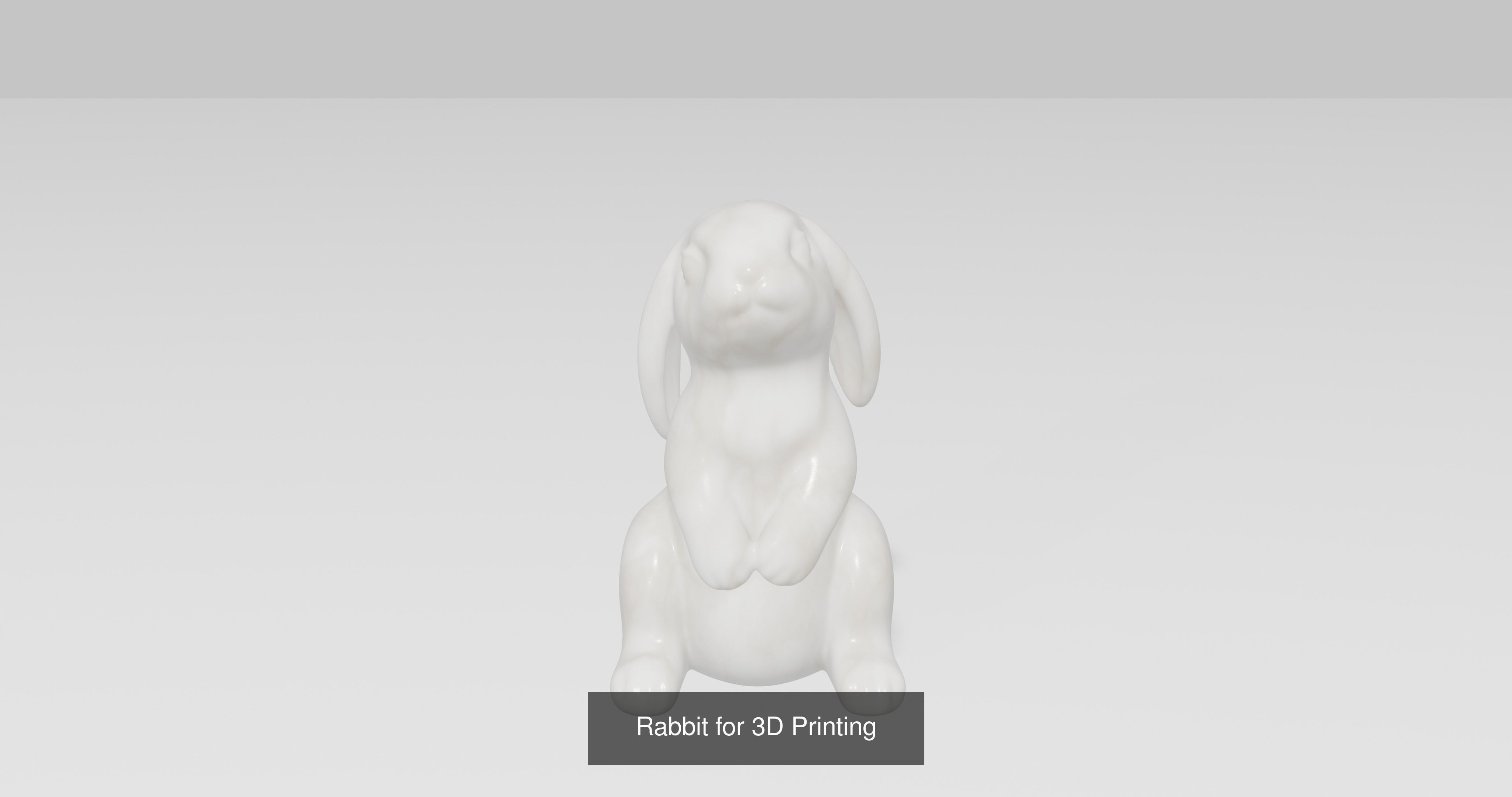 5 Rabbit for 3D Printing 3D Model Collection_6
