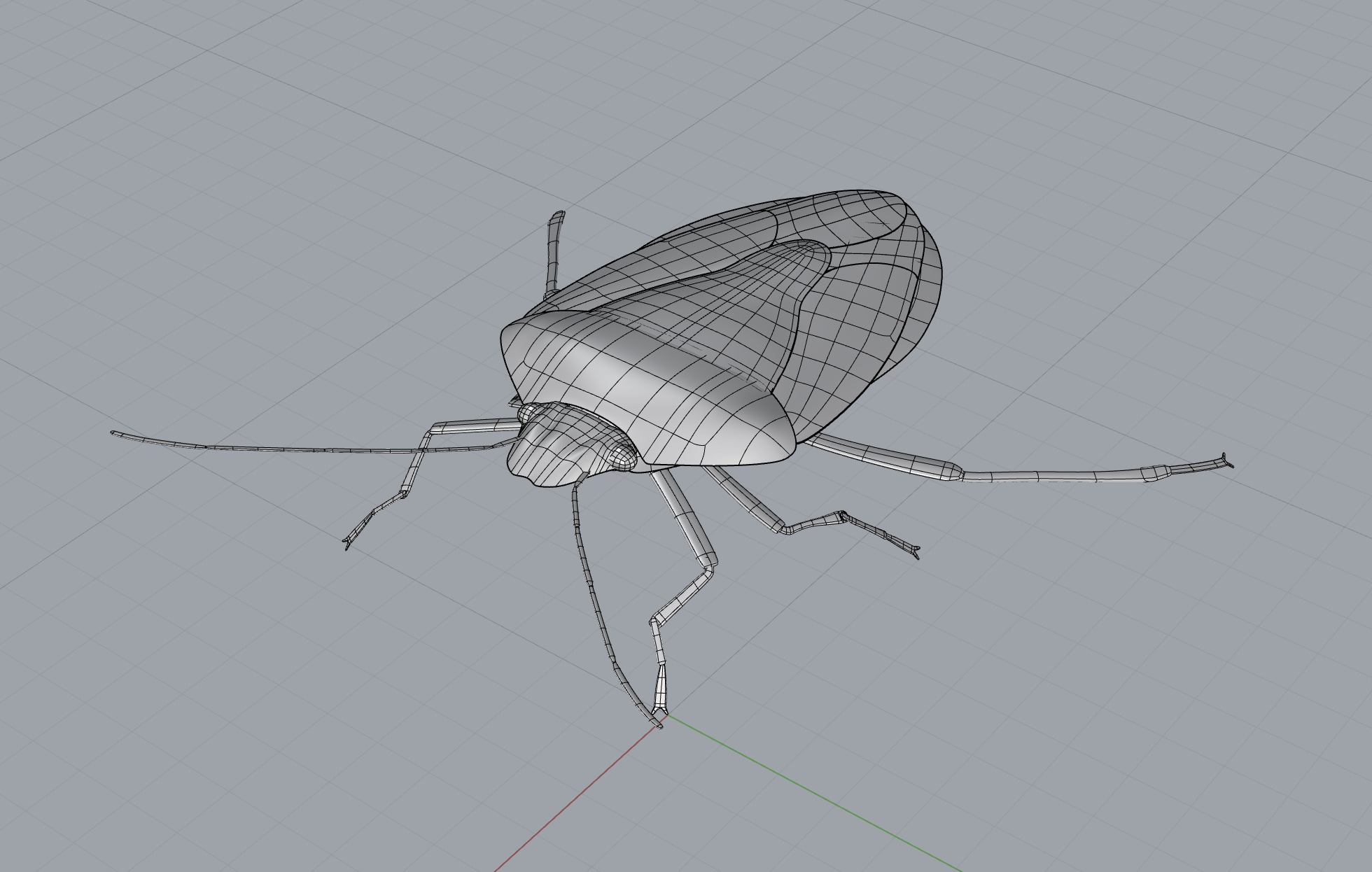 Brown Marmorated Stink Bug Free 3D model_1
