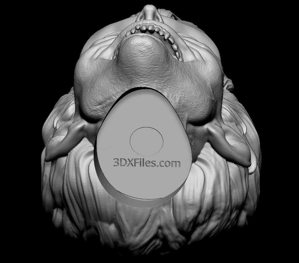 Star Wars Animated Dooku - Head Sculpt - Action Figure  3D print model_1