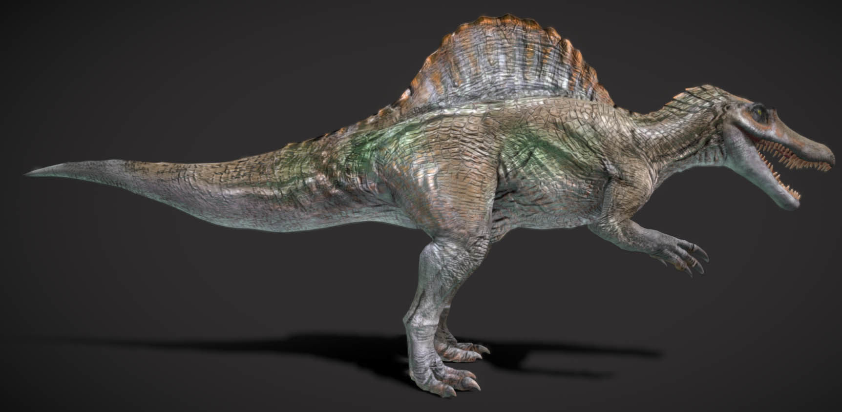 Spinosaurus Hybrid Low-poly 3D model_6