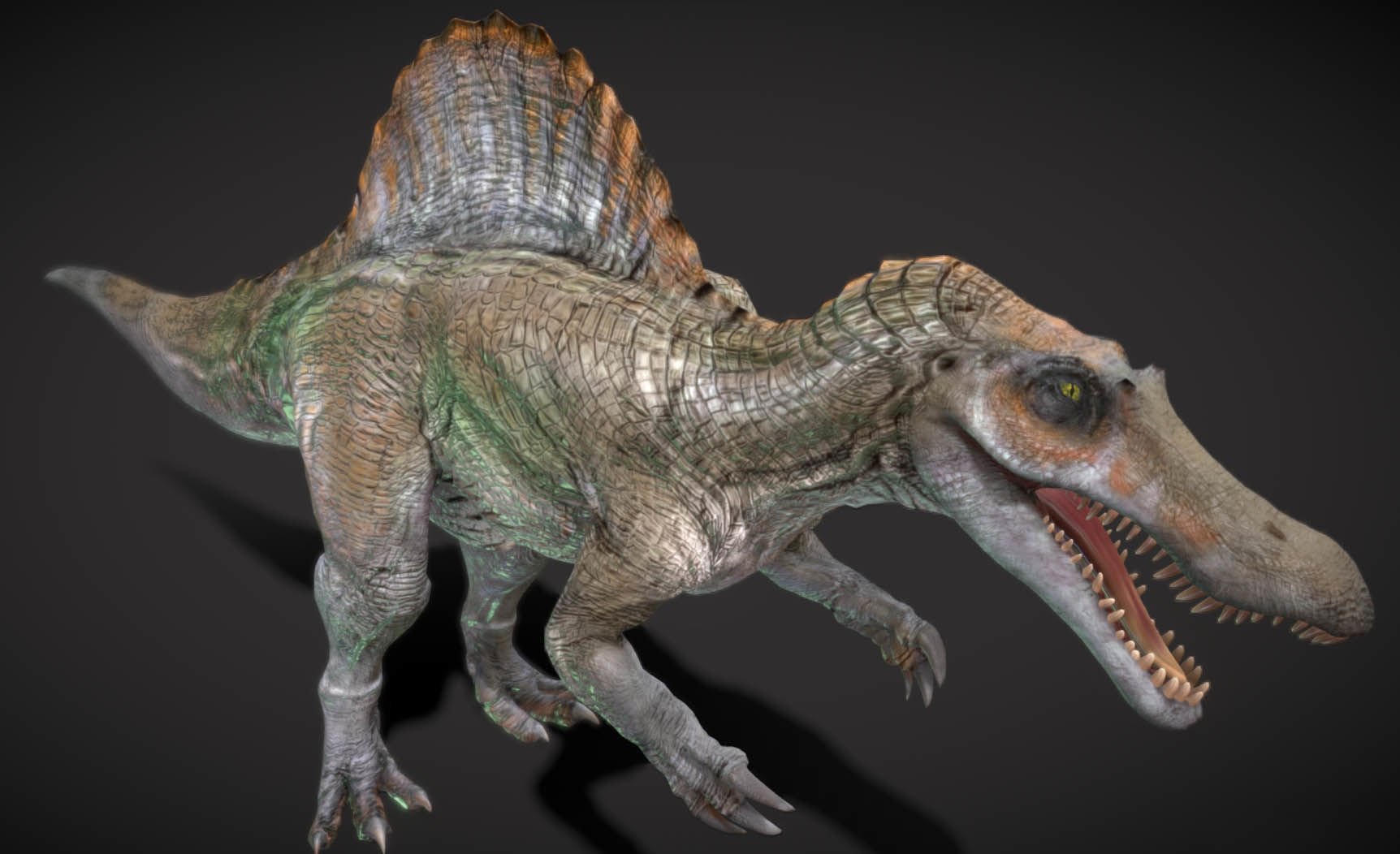 Spinosaurus Hybrid Low-poly 3D model_5