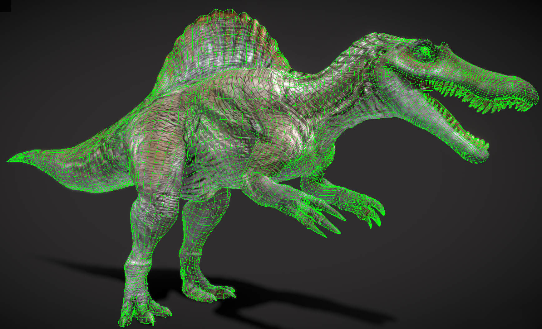 Spinosaurus Hybrid Low-poly 3D model_4