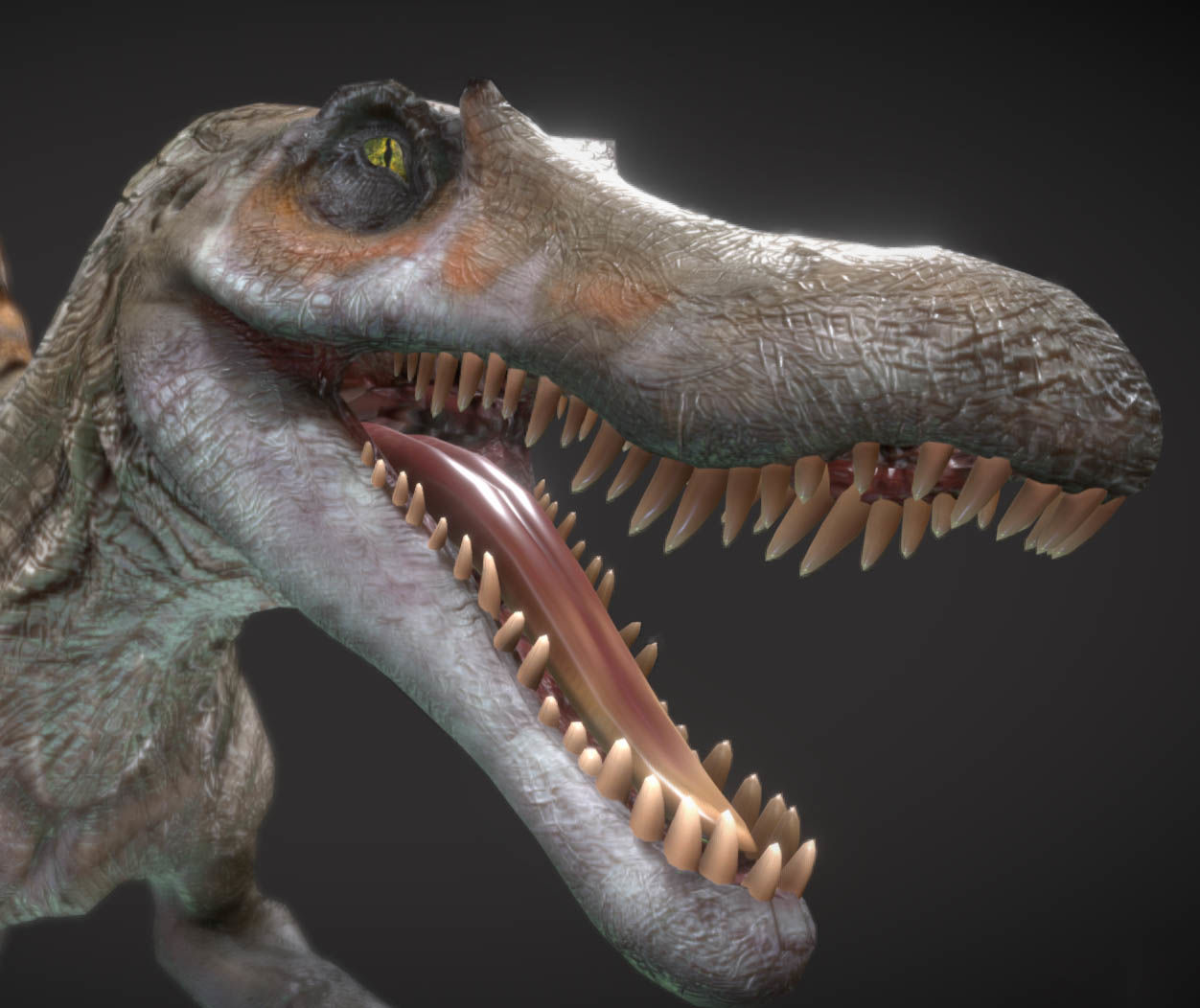 Spinosaurus Hybrid Low-poly 3D model_7