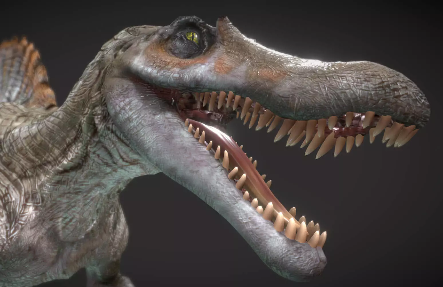Spinosaurus Hybrid Low-poly 3D model_0
