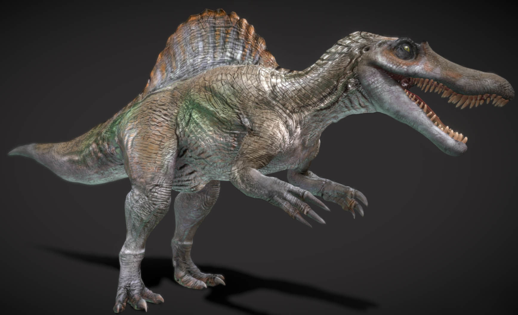 Spinosaurus Hybrid Low-poly 3D model_3