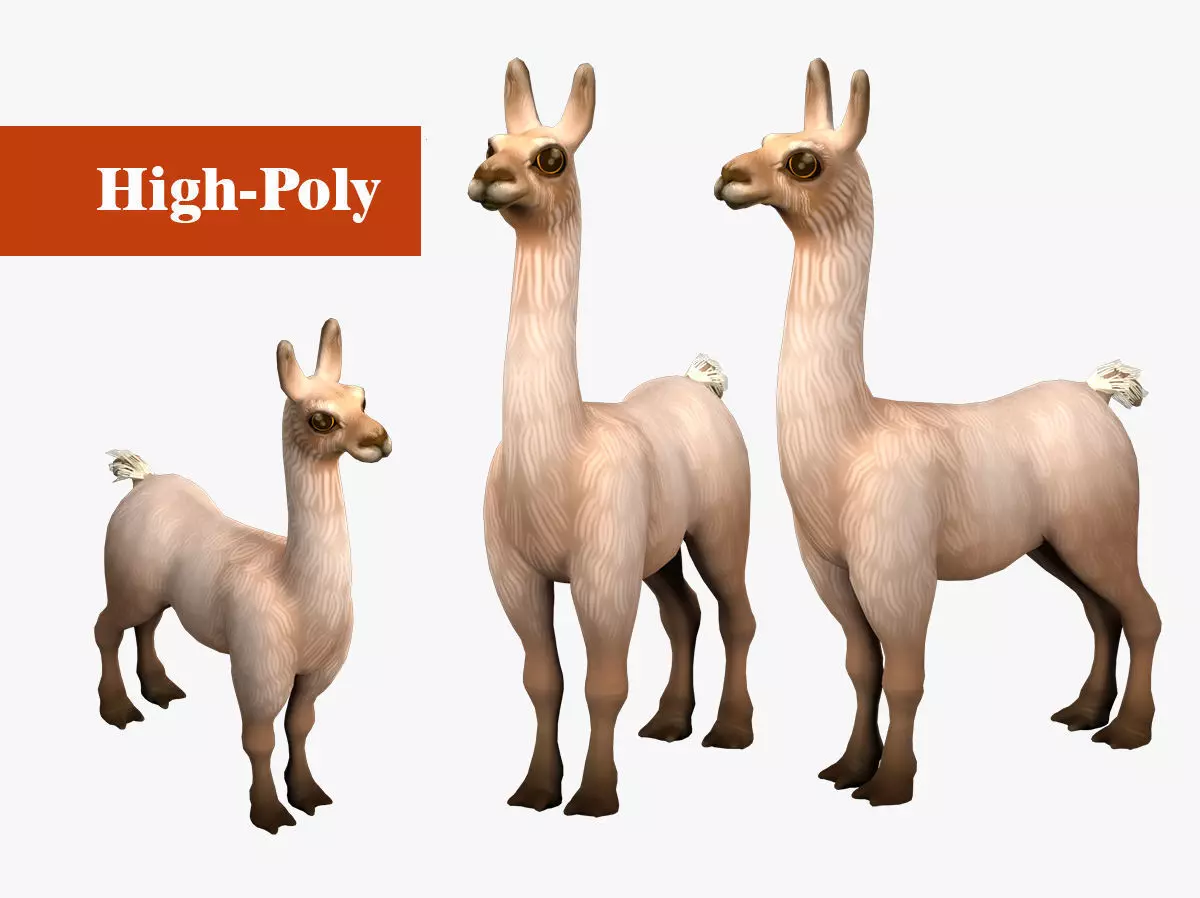 alpaca with rig  high-poly textured 3D model_0