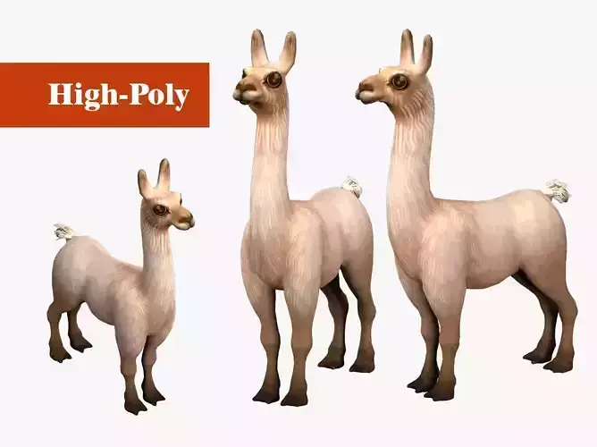 alpaca with rig  high-poly textured 3D model