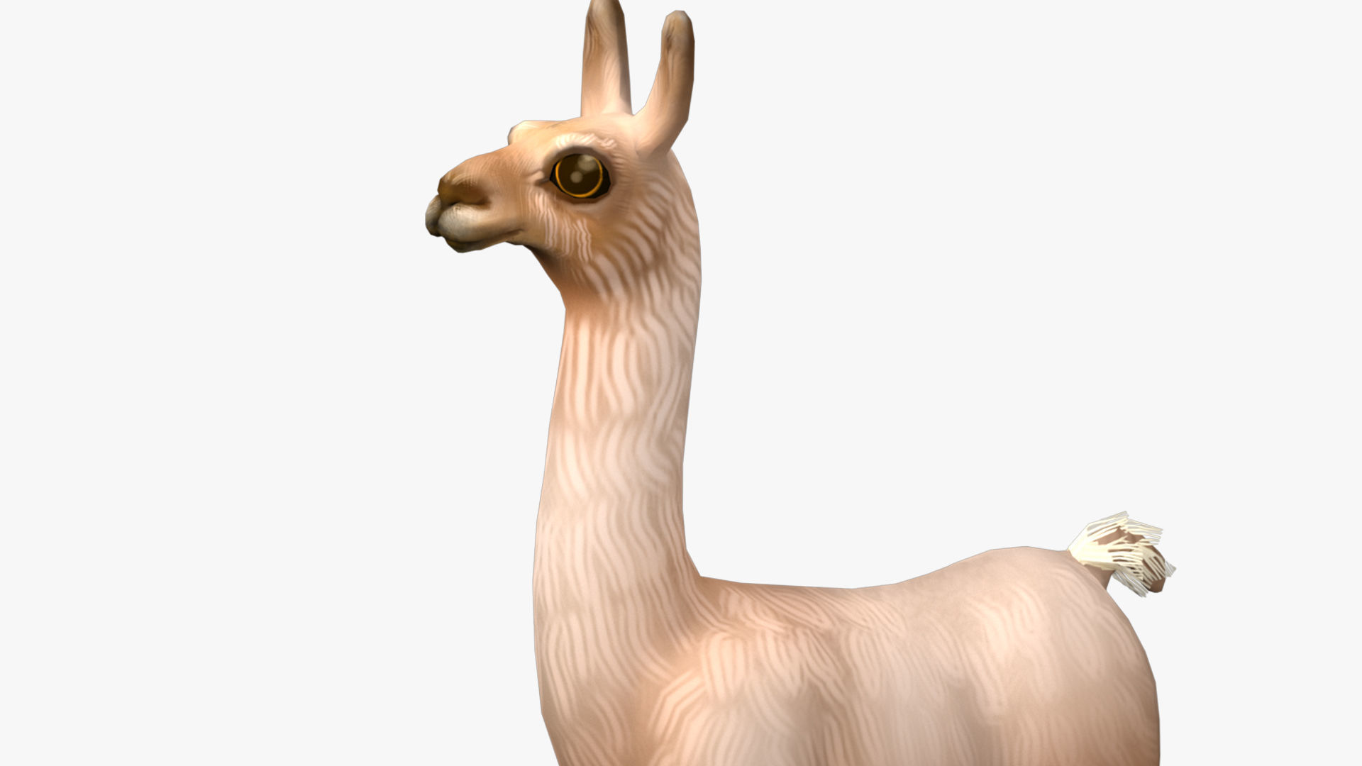 alpaca with rig  high-poly textured 3D model_10