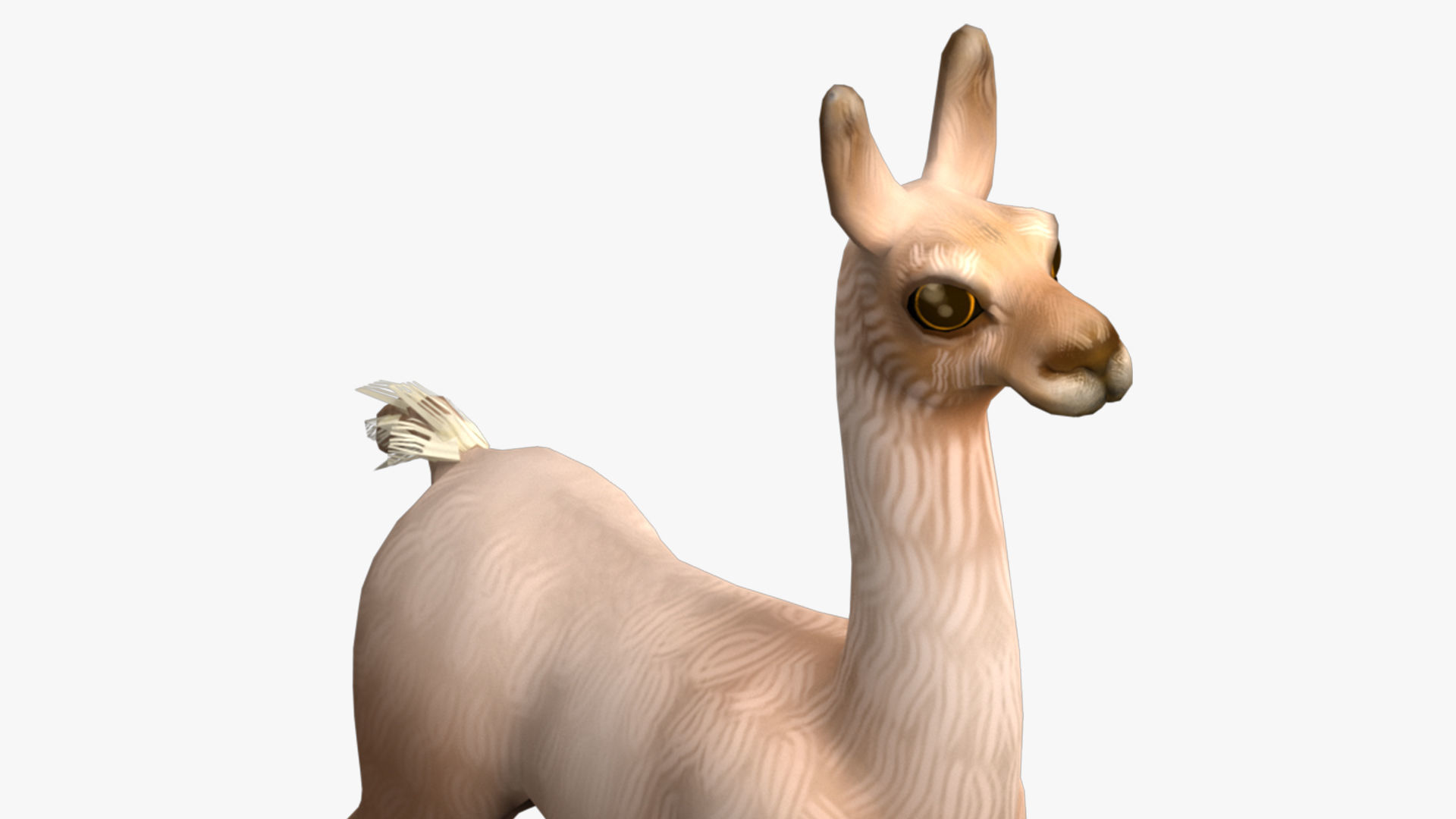 alpaca with rig  high-poly textured 3D model_7
