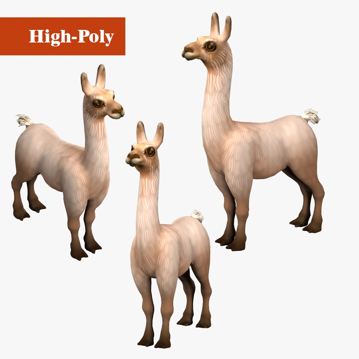 alpaca with rig  high-poly textured 3D model_1