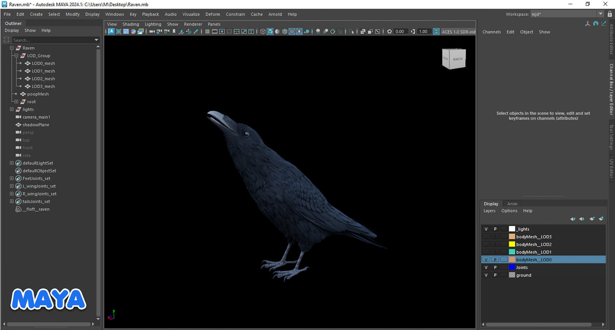 Realistic Animated Raven Low-poly 3D model_11