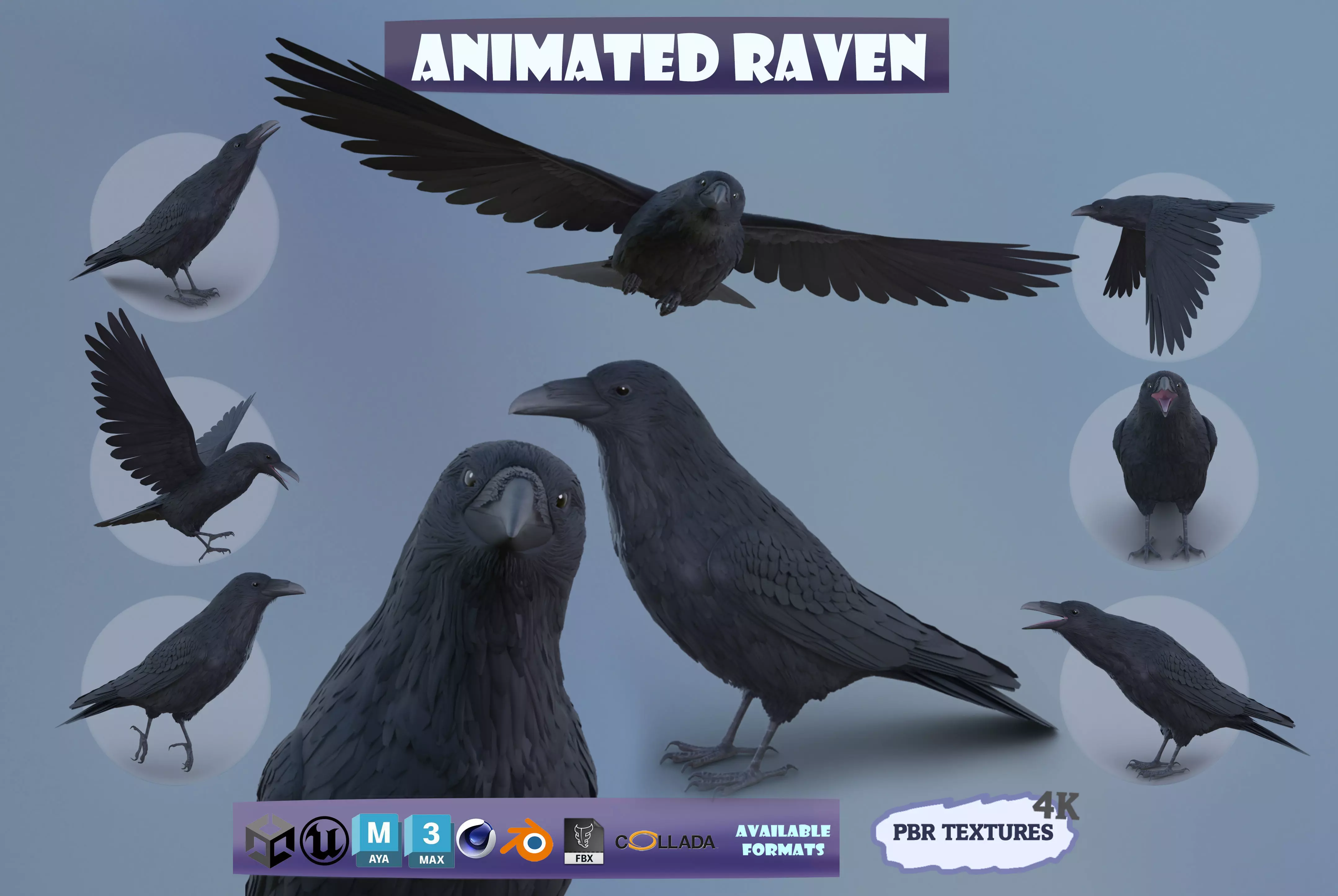 Realistic Animated Raven Low-poly 3D model_0