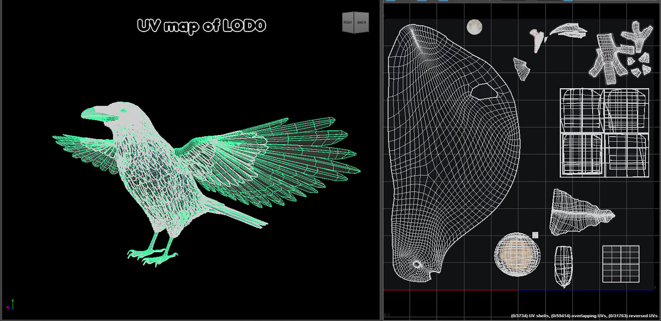 Realistic Animated Raven Low-poly 3D model_25