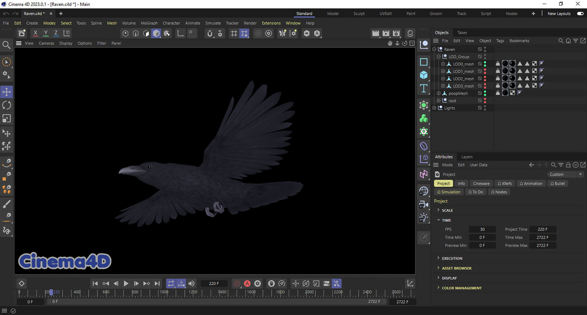 Realistic Animated Raven Low-poly 3D model_18