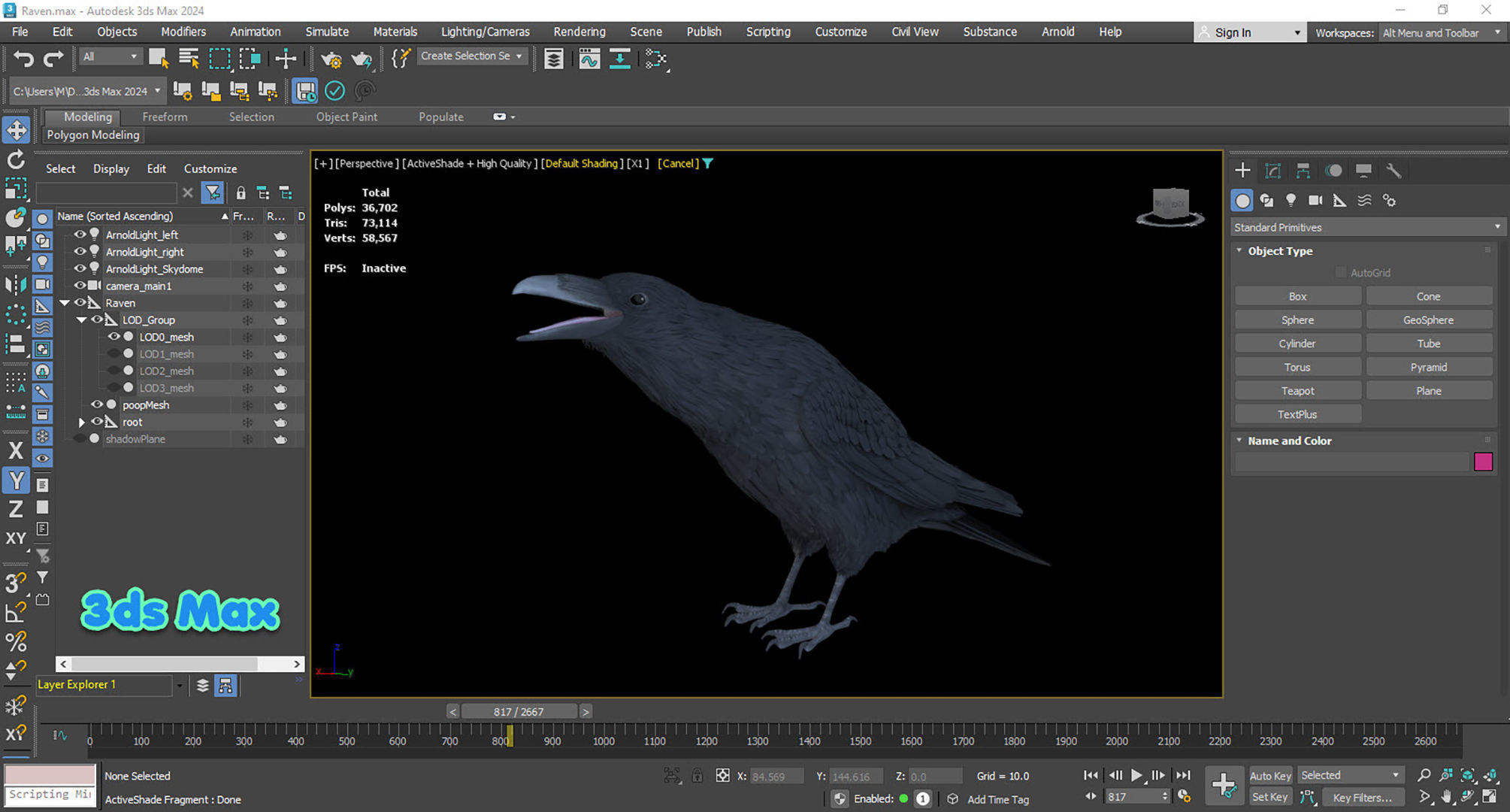 Realistic Animated Raven Low-poly 3D model_17