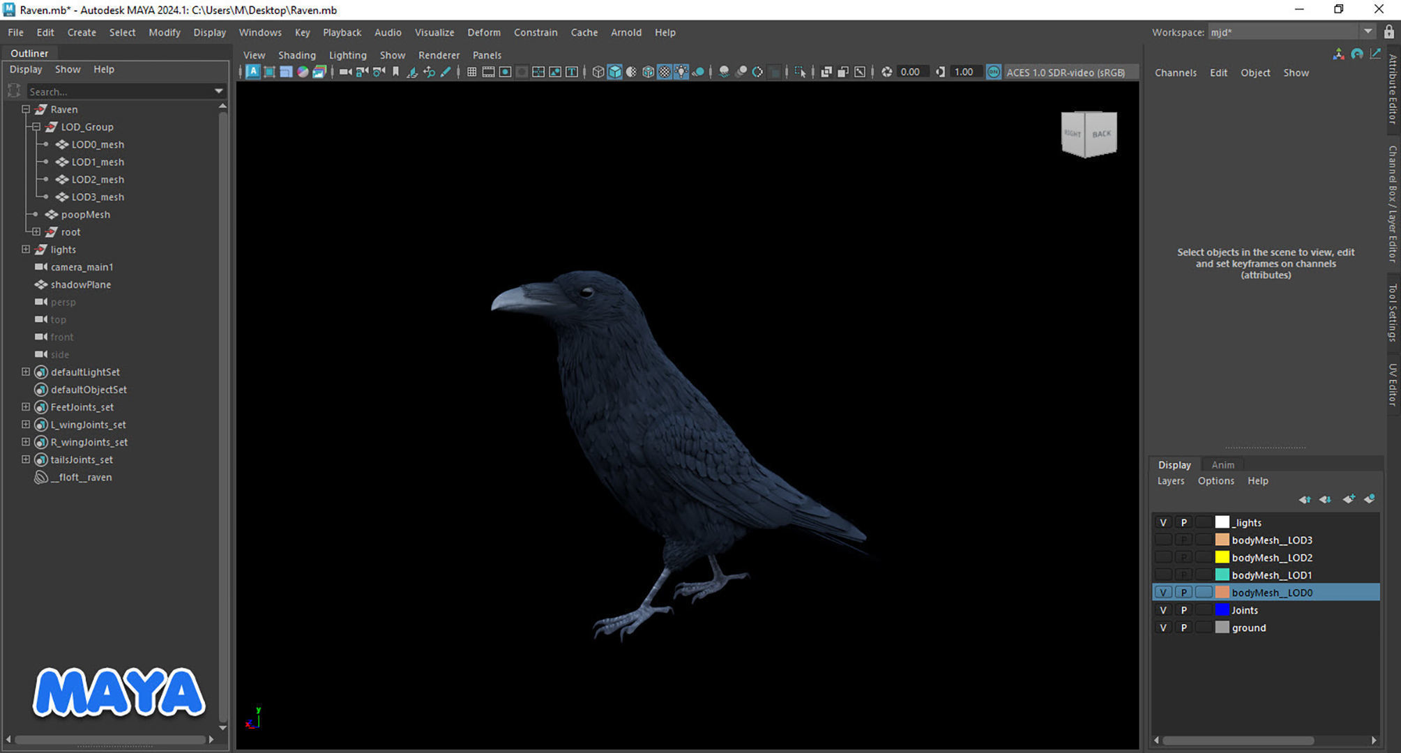 Realistic Animated Raven Low-poly 3D model_19