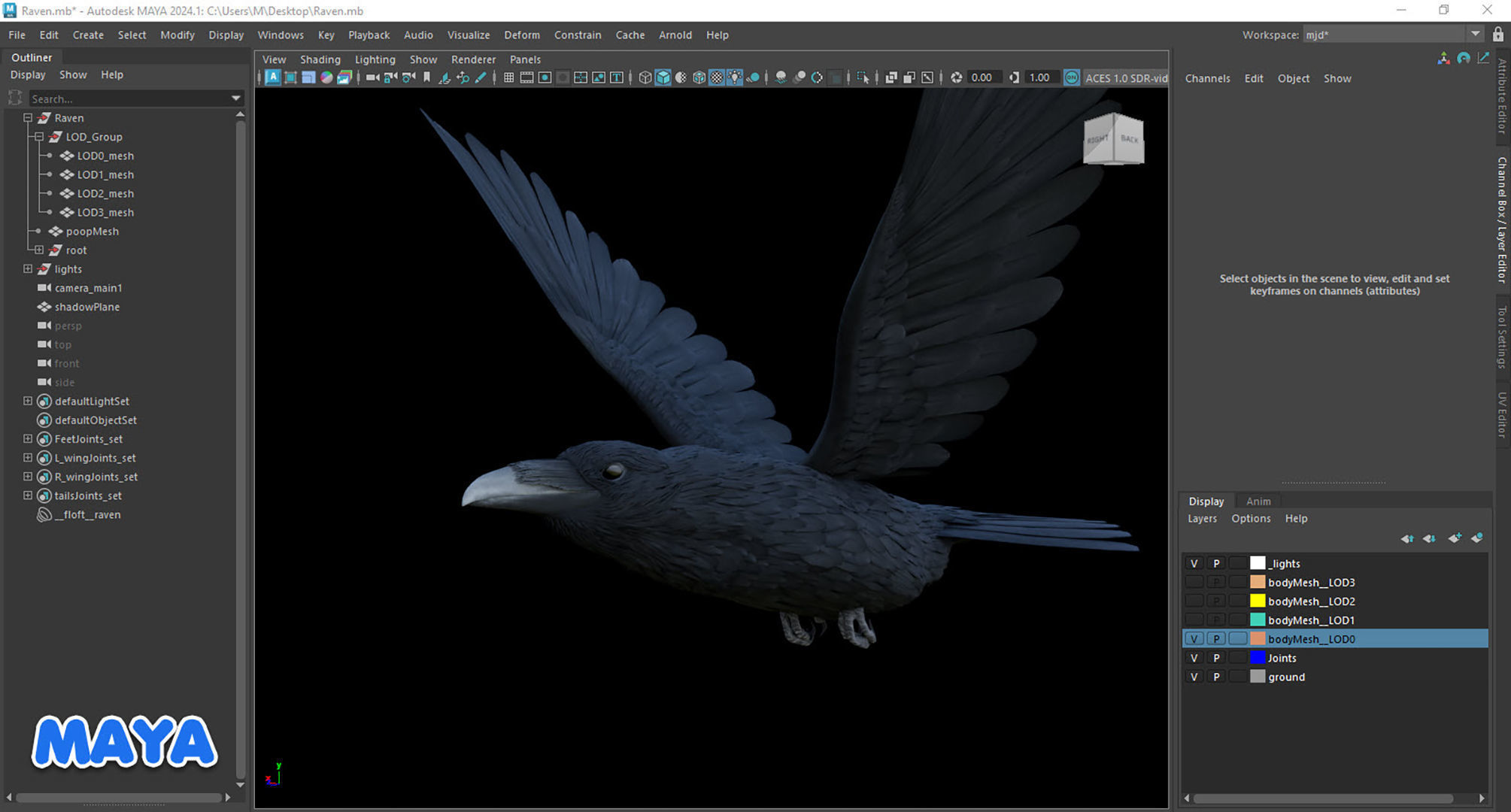 Realistic Animated Raven Low-poly 3D model_8