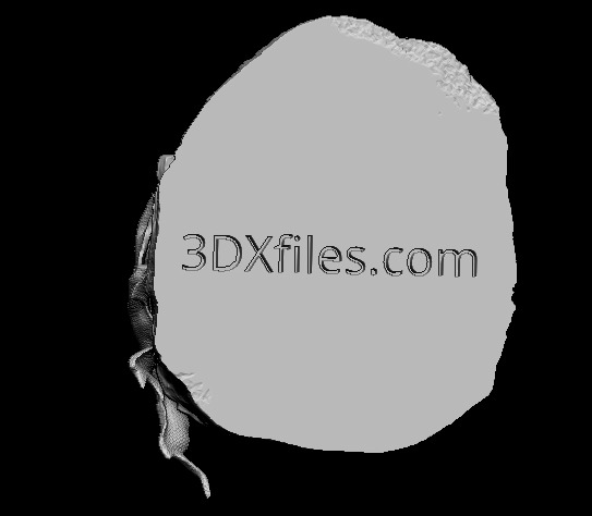 Star Wars Statue - Pong Krell - Jedi Master - Clone Wars 3D print model_1