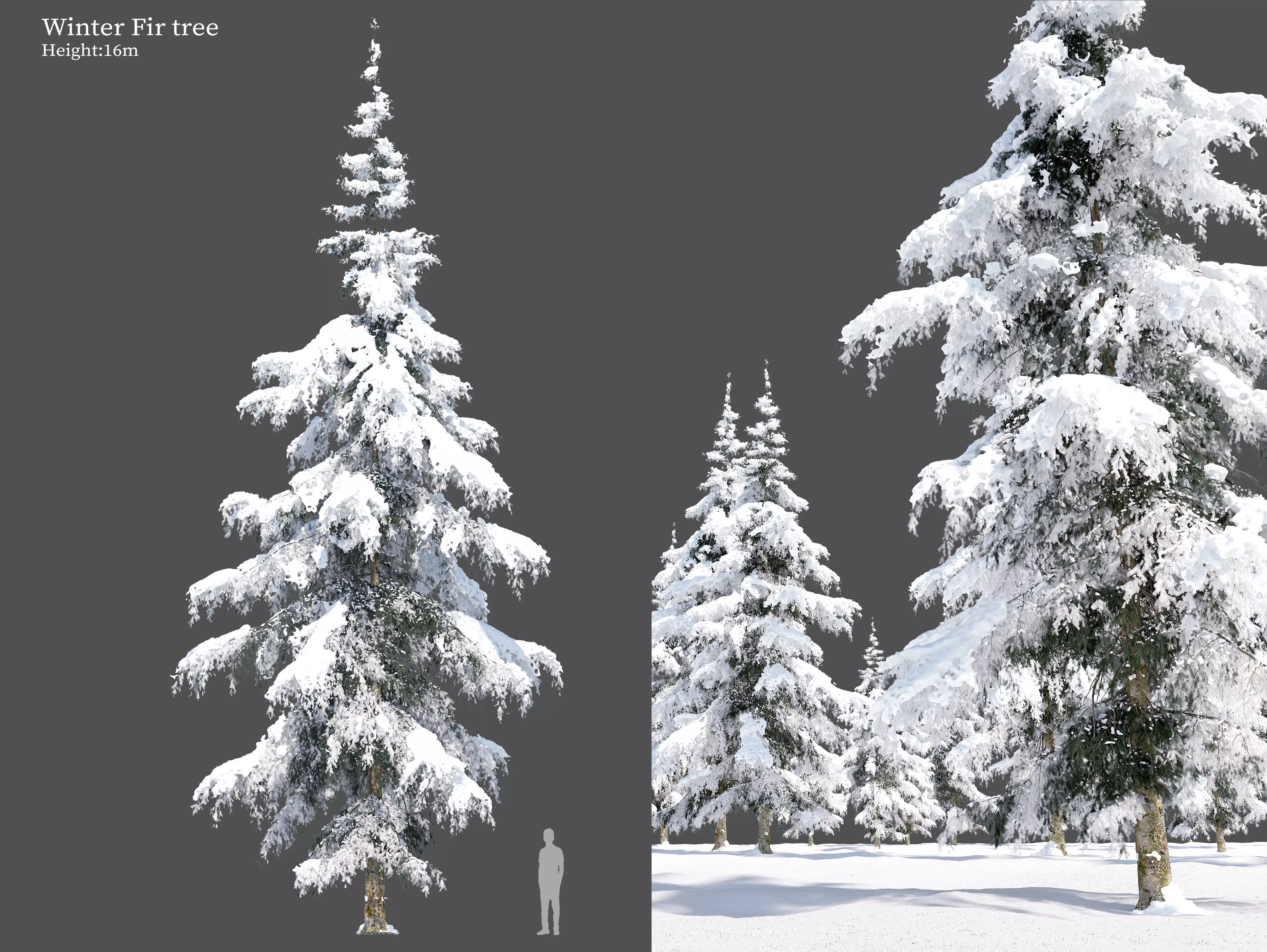 Winter Fir tree 05 3D model_0