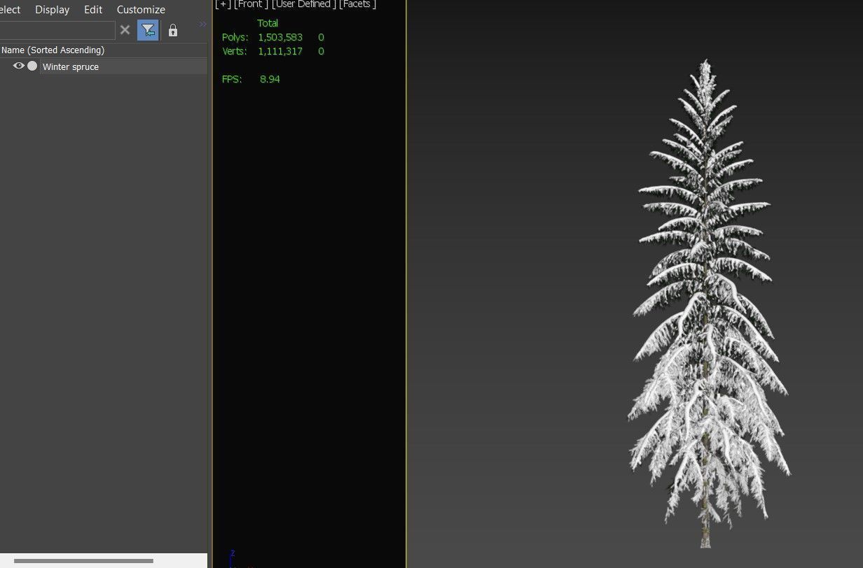 Winter Spruce 3D model_4