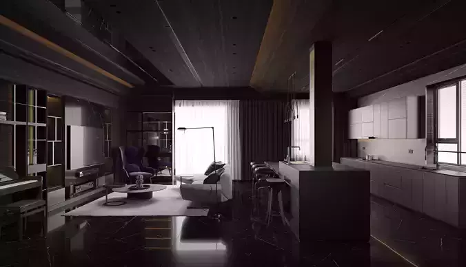 apartment interior scenes       