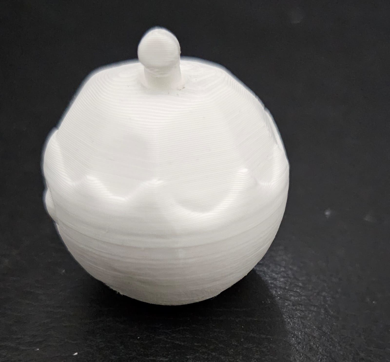 Coconut 3D print model_7