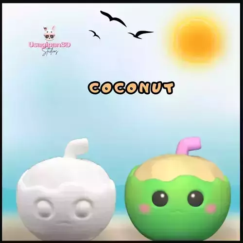 Coconut 3D print model