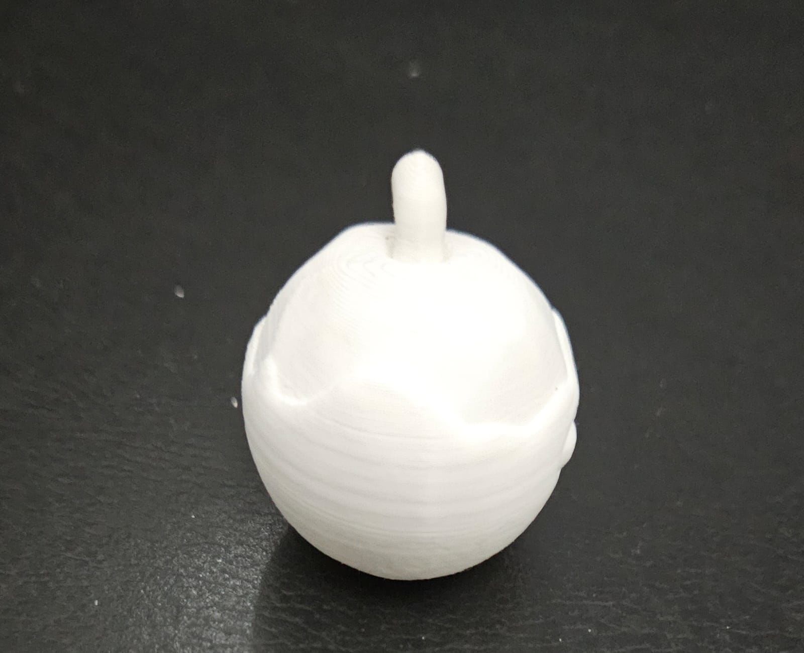 Coconut 3D print model_10